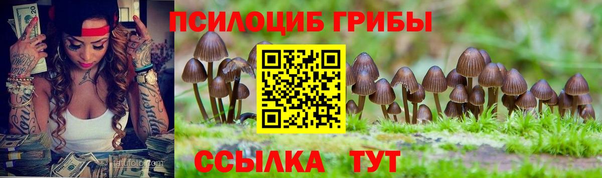 Псилоцибиновые грибы прущие грибы  Вход с VPN  Горячий Ключ  Псилоцибиновые грибы Cubensis 